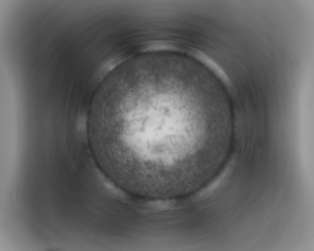 X0000113890937200910011320