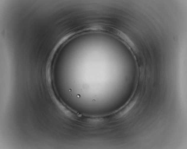 X0000113890939200910011320