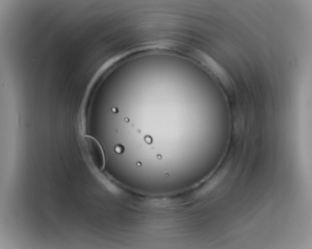 X0000113890940200910011320