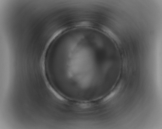 X0000113890941200910011320