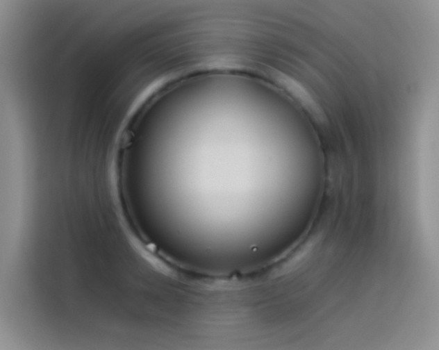 X0000113890942200910011320