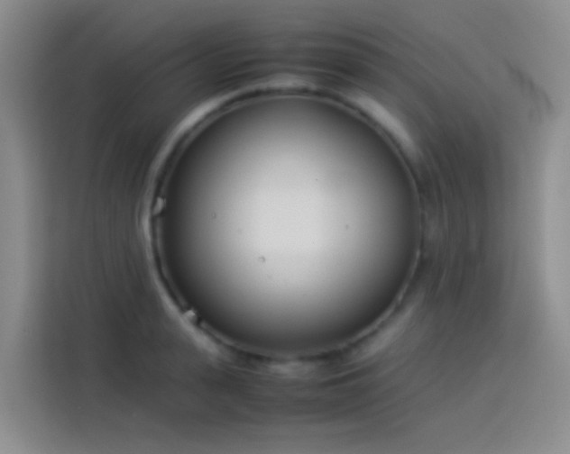 X0000113890943200910011320