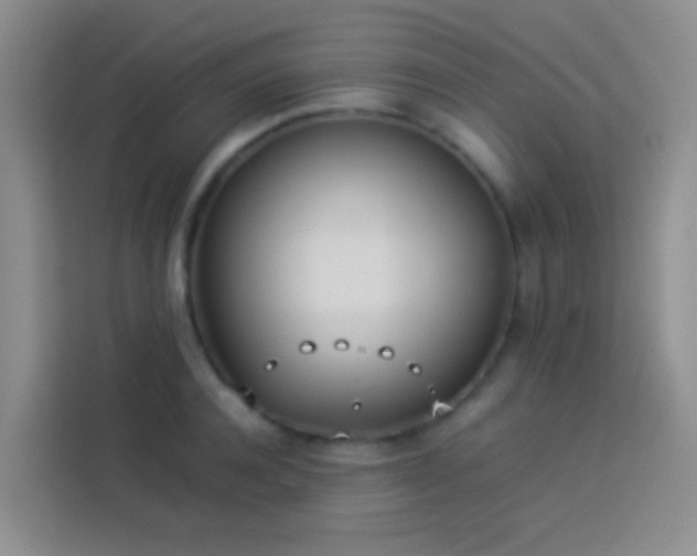 X0000113890944200910011320