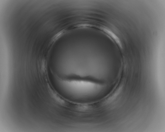 X0000113890945200910011320