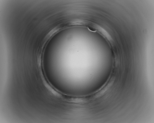 X0000113890946200910011320