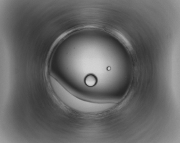 X0000113890948200910011320