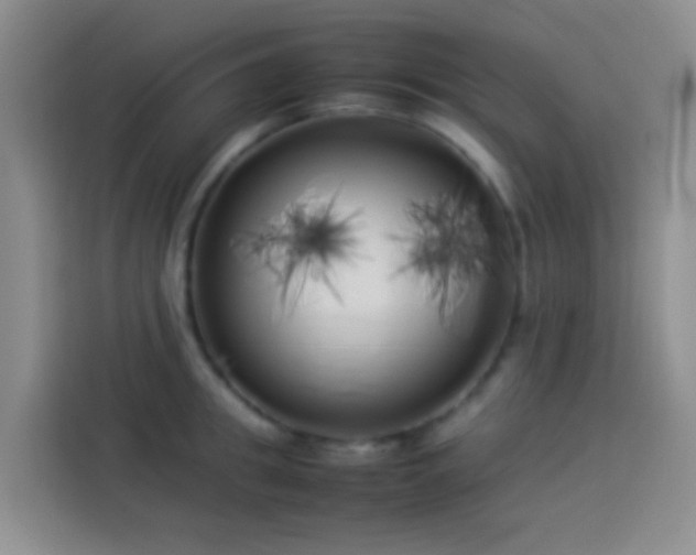 X0000113890949200910011320