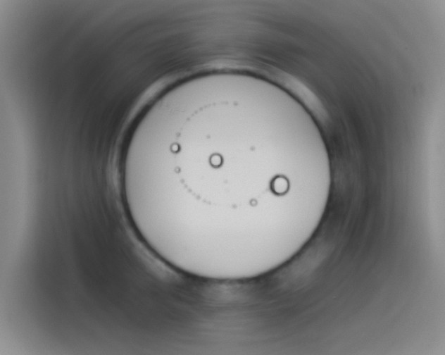 X0000113890950200910011320