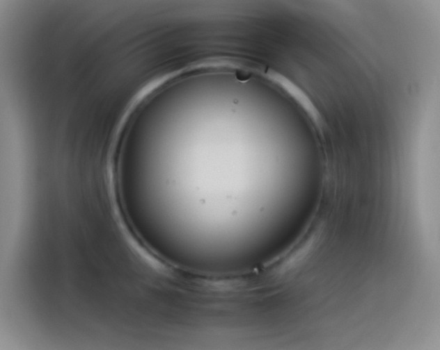 X0000113890951200910011320