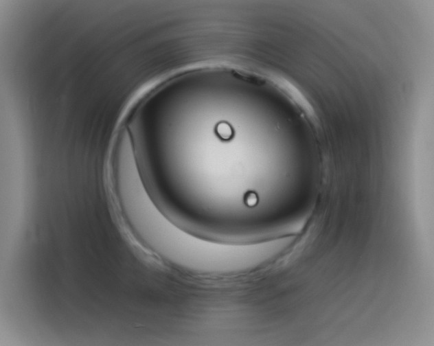 X0000113890952200910011320