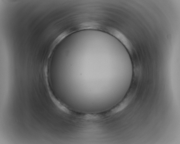 X0000113890954200910011320