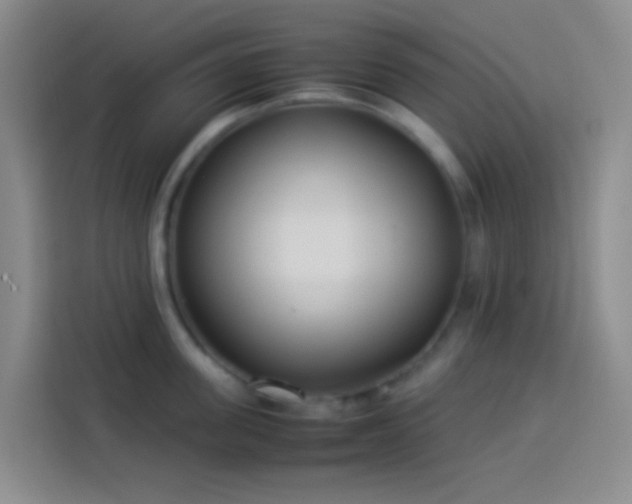 X0000113890955200910011320