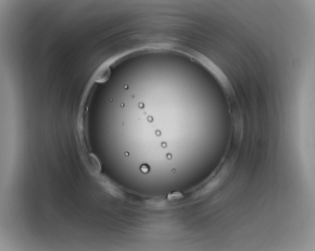 X0000113890956200910011320