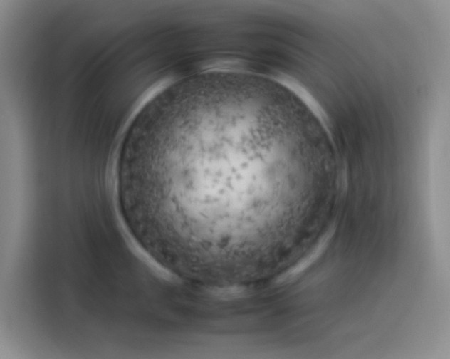 X0000113890957200910011320