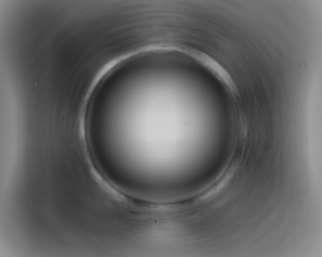 X0000113890958200910011320