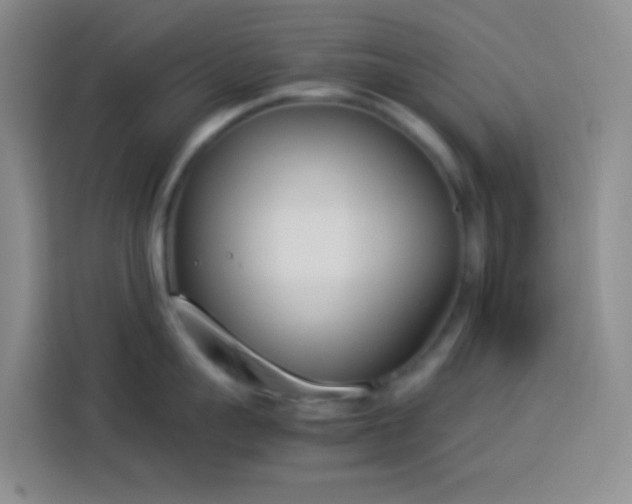 X0000113890959200910011320