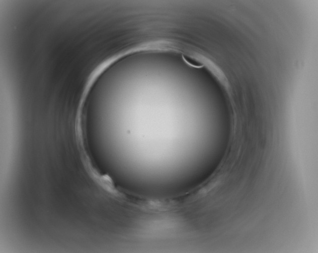 X0000113890960200910011320