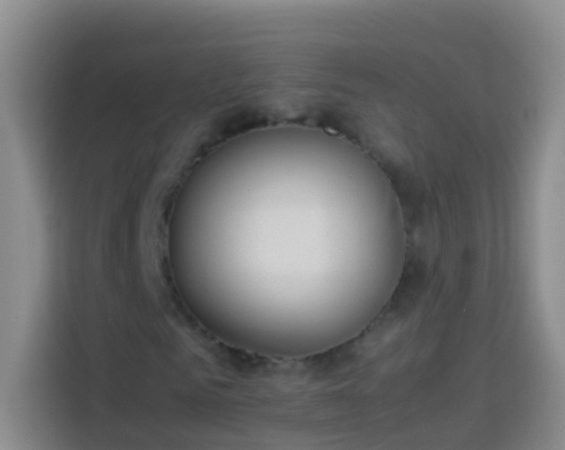 X0000113890961200910011319