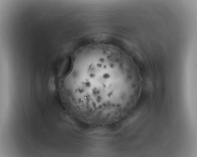 X0000113890962200910011319