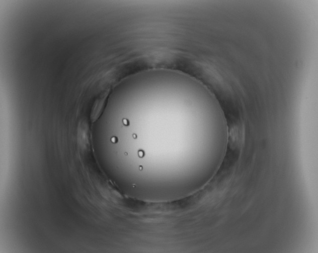 X0000113890963200910011319