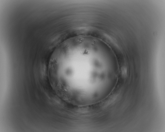 X0000113890964200910011319