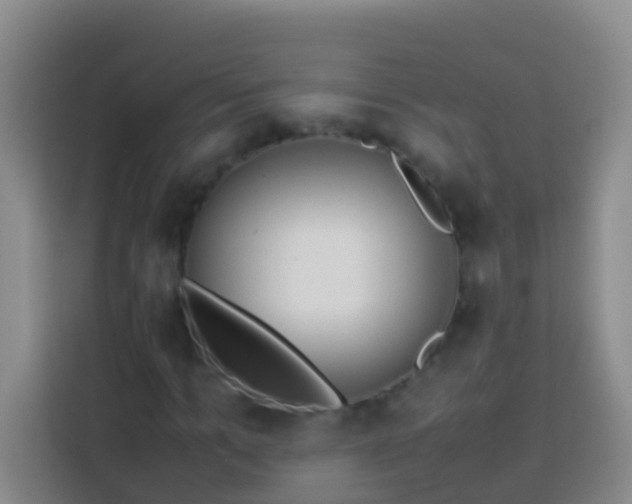 X0000113890965200910011319