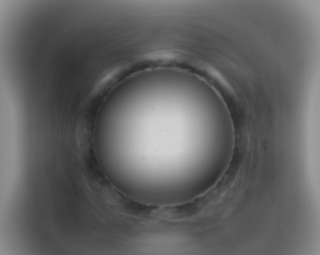 X0000113890967200910011319