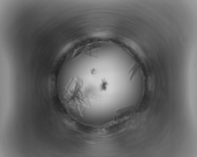 X0000113890968200910011319