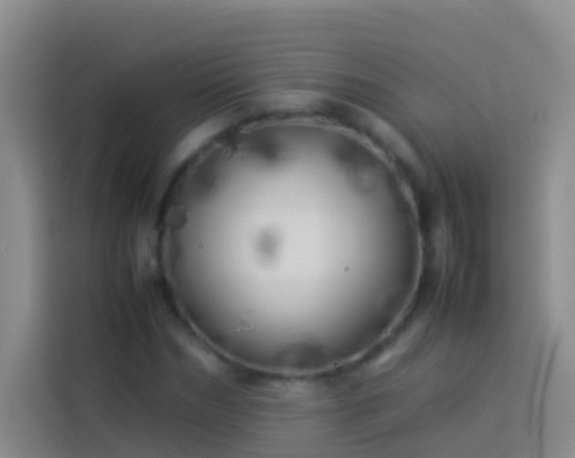 X0000113890970200910011319