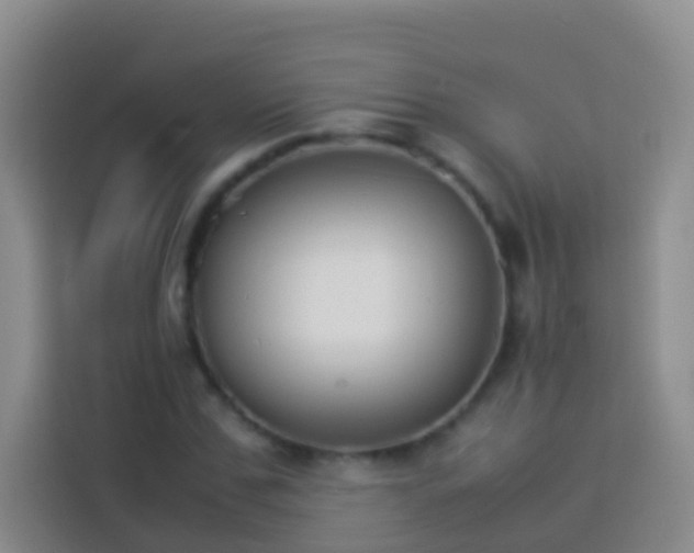 X0000113890971200910011319