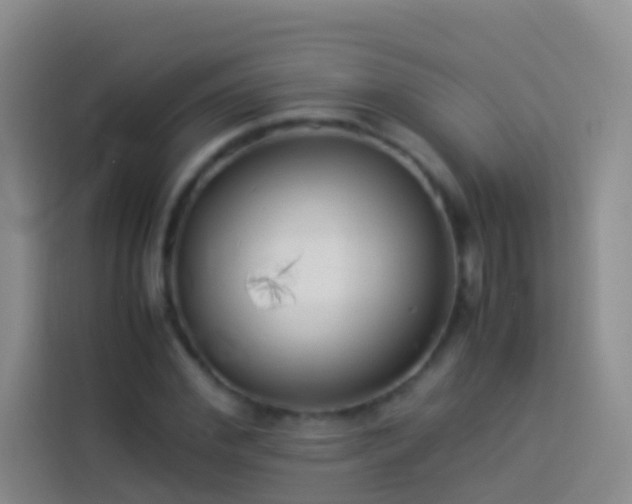 X0000113890972200910011319