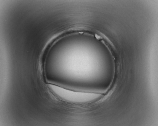 X0000113890973200910011319