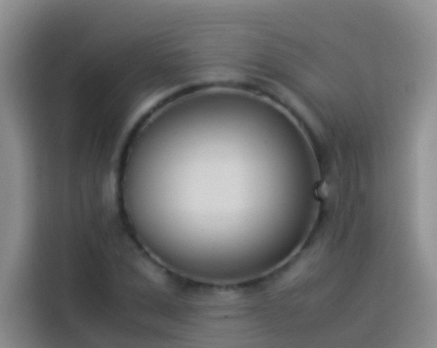 X0000113890975200910011319