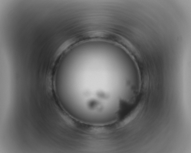 X0000113890978200910011319