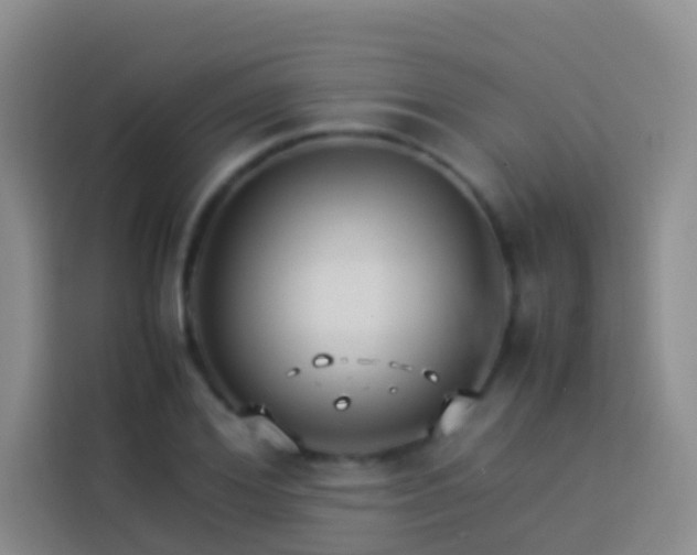 X0000113890980200910011319