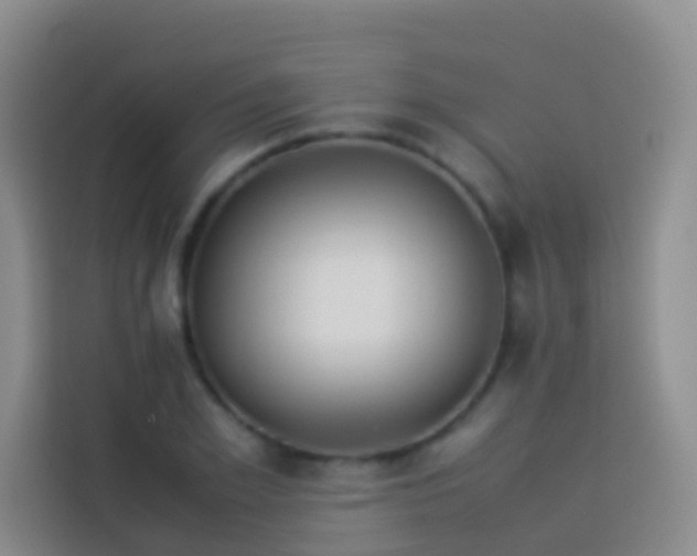 X0000113890981200910011319