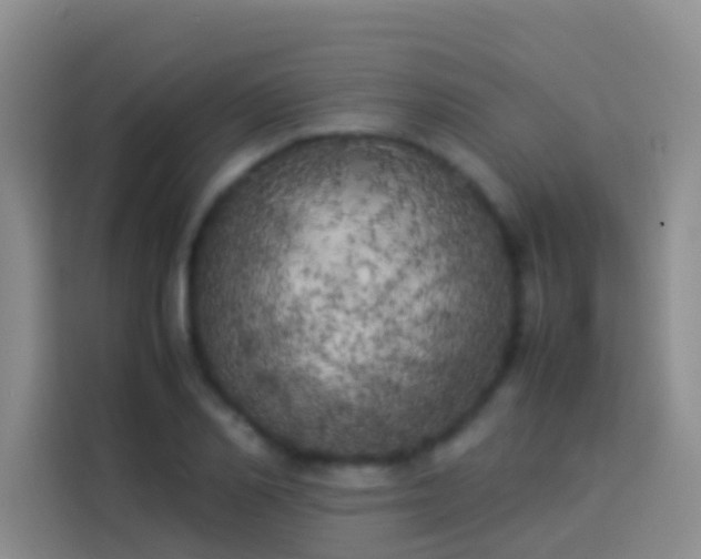 X0000113890982200910011319