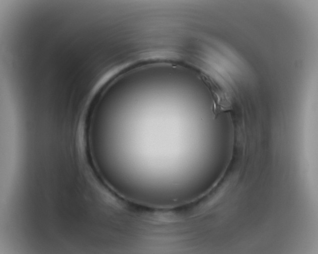 X0000113890983200910011319