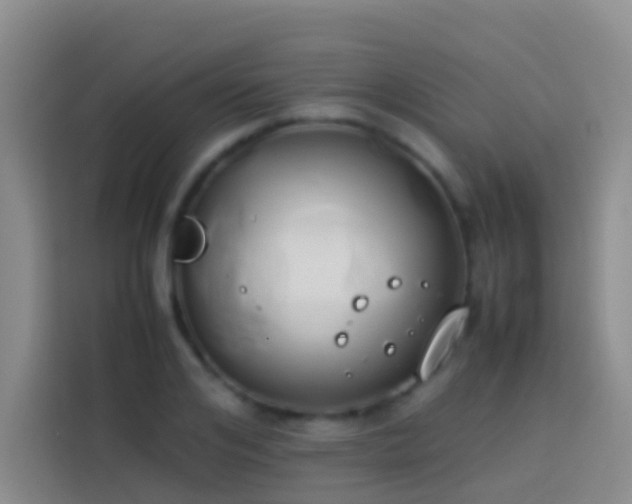 X0000113890984200910011319