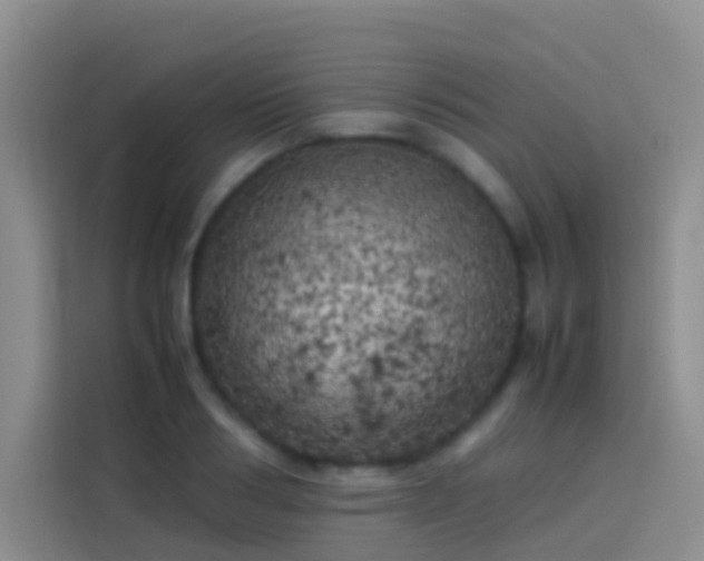 X0000113890986200910011319