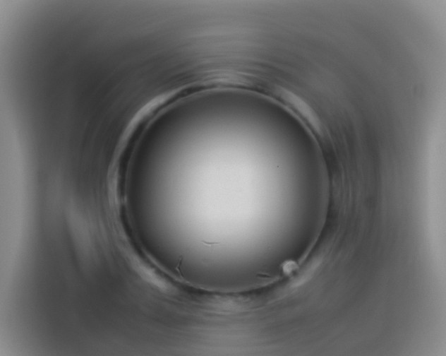 X0000113890987200910011319