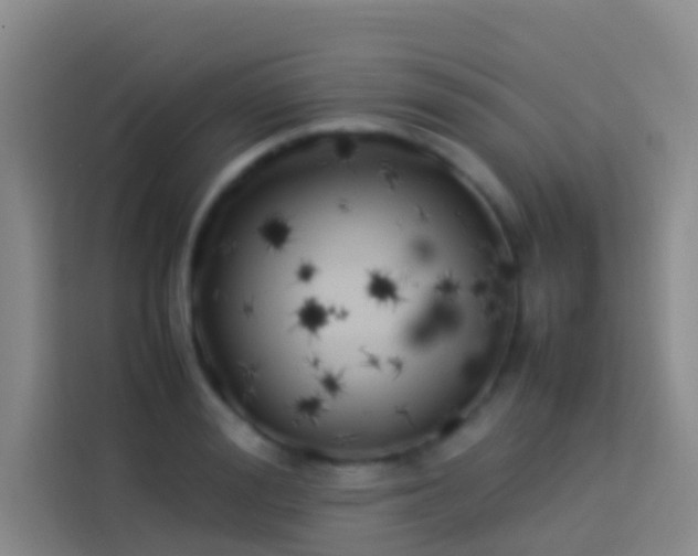 X0000113890988200910011319