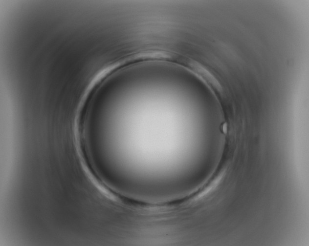 X0000113890989200910011319