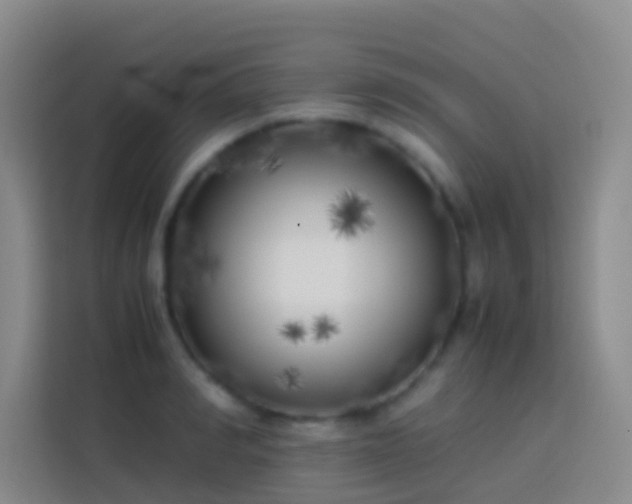 X0000113890990200910011319