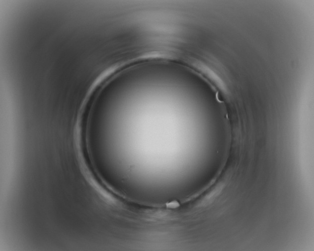 X0000113890991200910011319