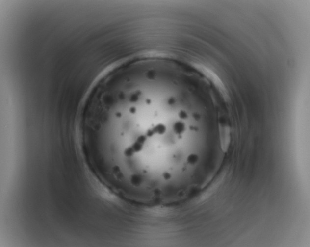 X0000113890992200910011319