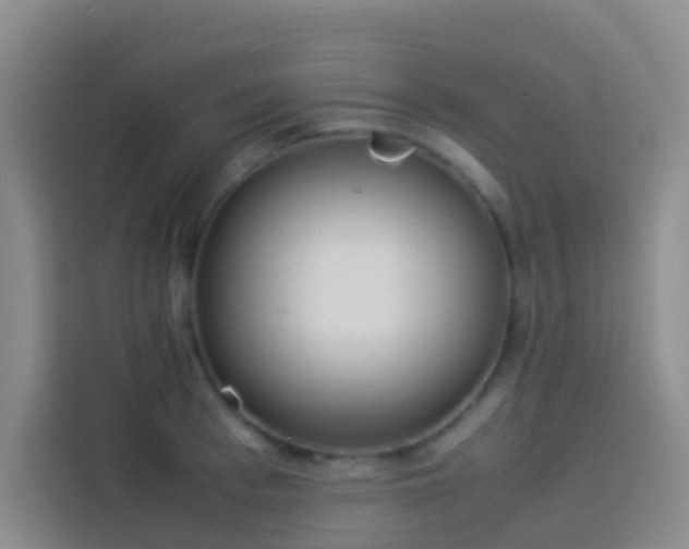 X0000113890993200910011319