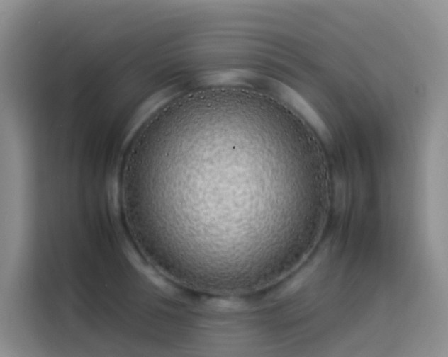 X0000113890994200910011319