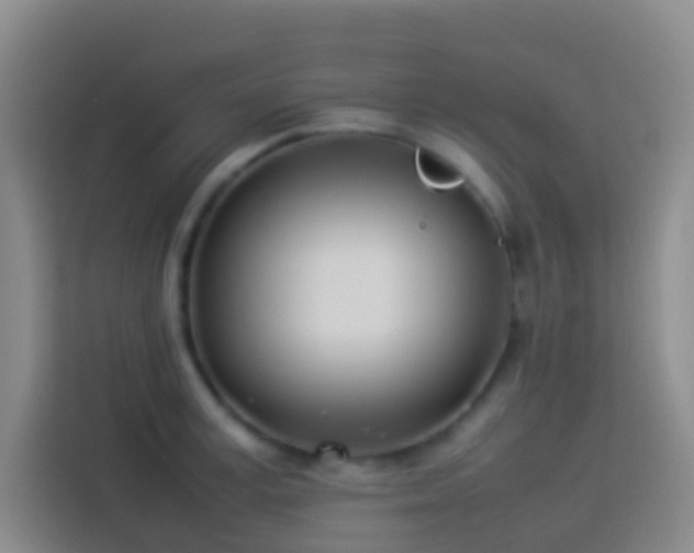 X0000113890995200910011319