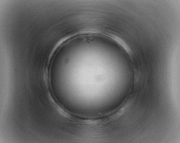 X0000113890996200910011319